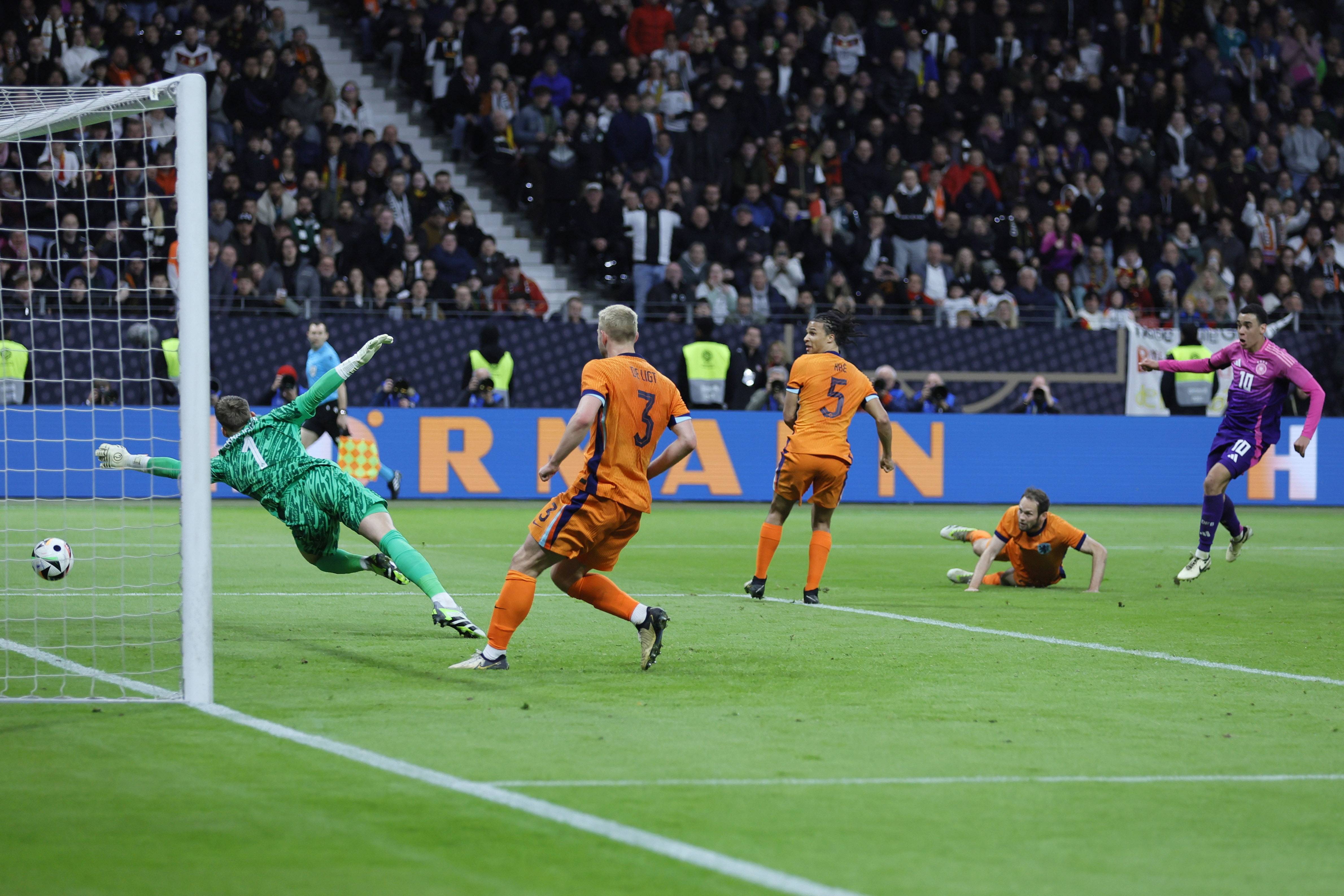 臂展超过2 臂展超过2