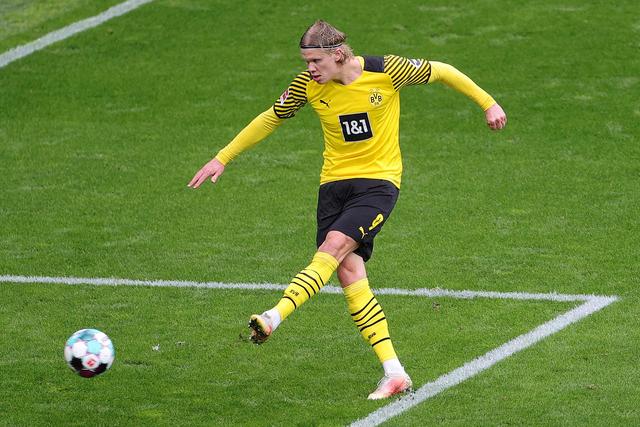 以选择他 以选择他