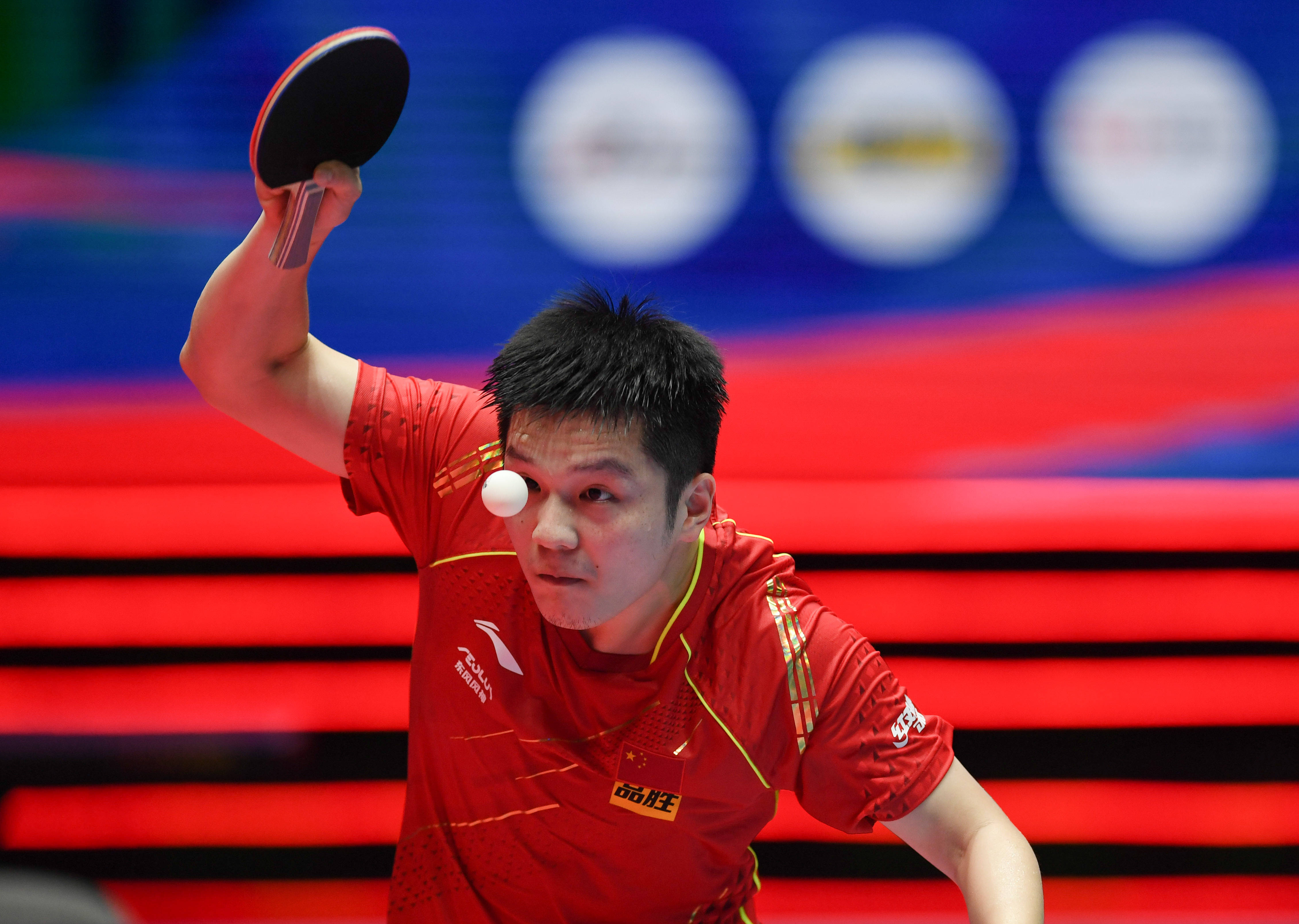 引入知名球 引入知名球