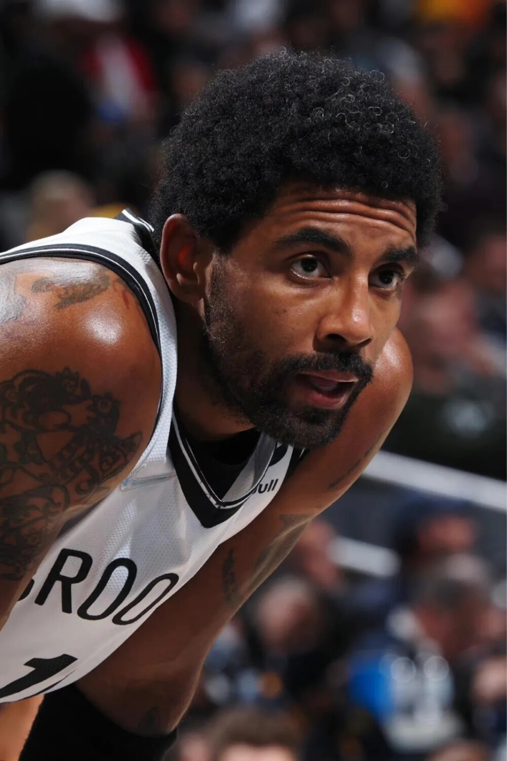 团队贡献 团队贡献